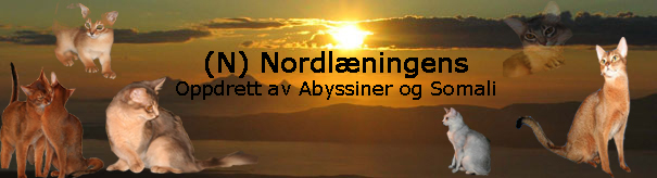 (N) Nordl�ningen's
